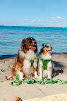 POOP BAG HOLDER - HAWAIIAN HUMANE SOCIETY