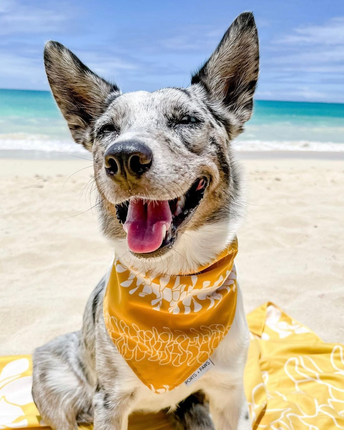 QUICK DRY BANDANA - PUAKENIKENI