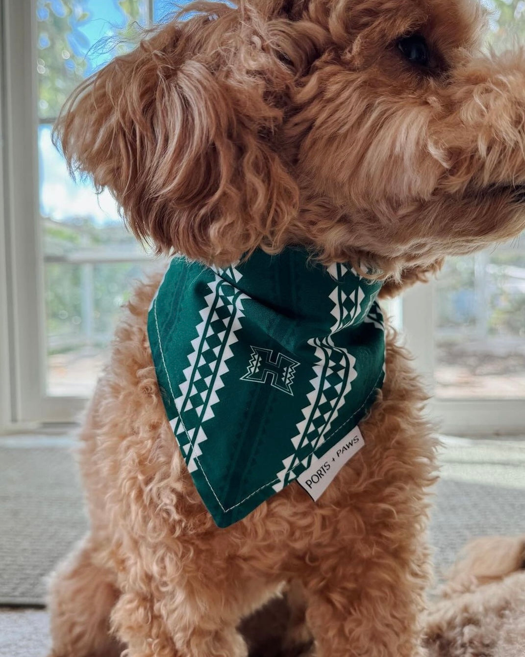 QUICK DRY BANDANA - UH WARRIOR GREEN