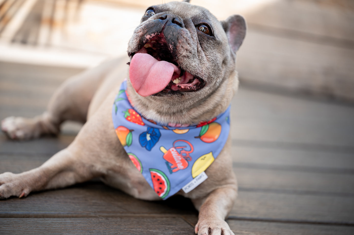 QUICK DRY BANDANA - POP CULTURE