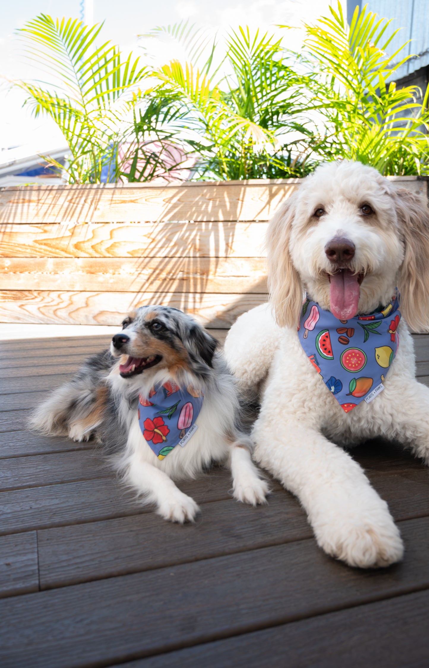 QUICK DRY BANDANA - POP CULTURE