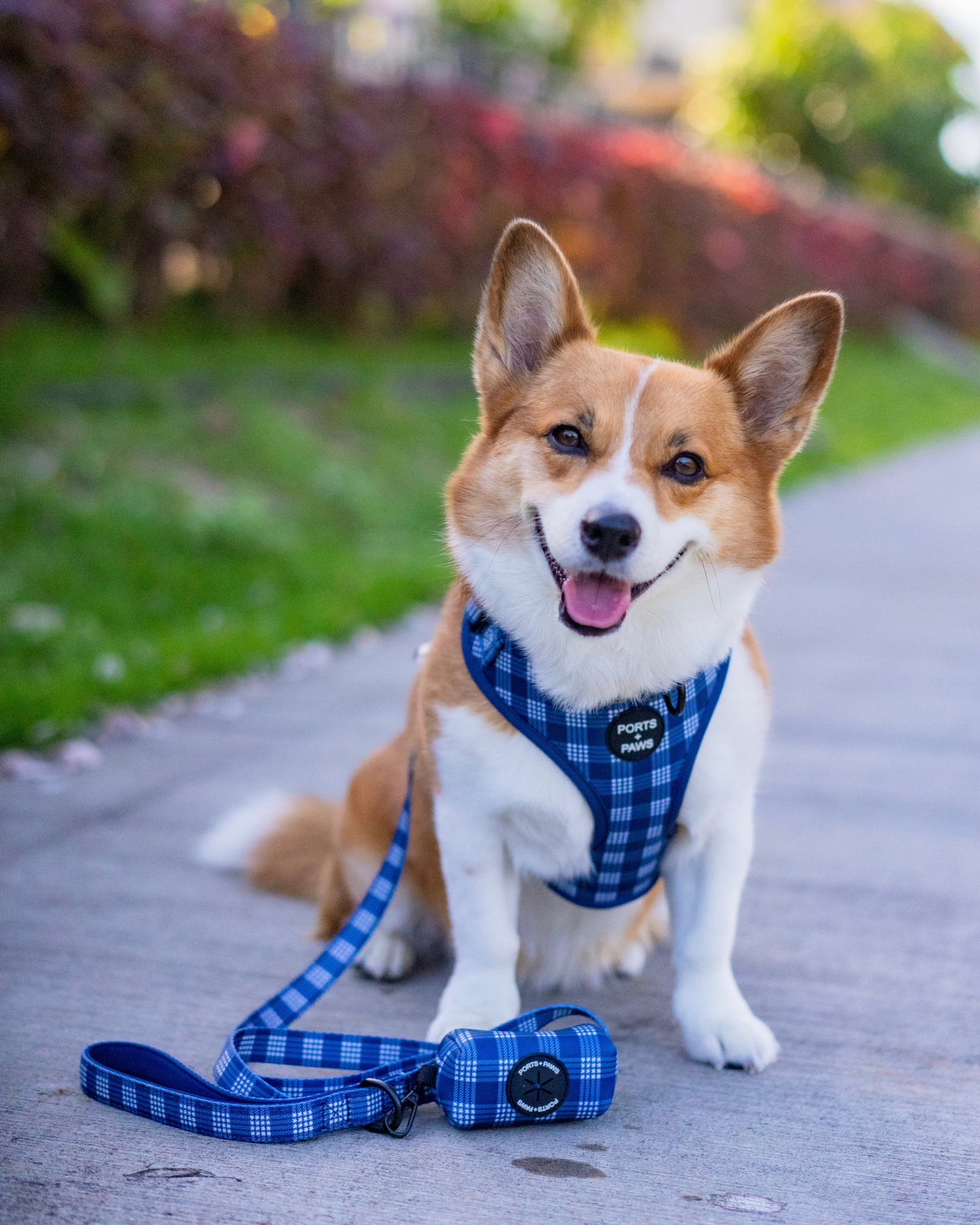 ADJUSTABLE HARNESS - PALAKA BLUE