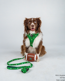 DOG TOY - UH FOOTBALL