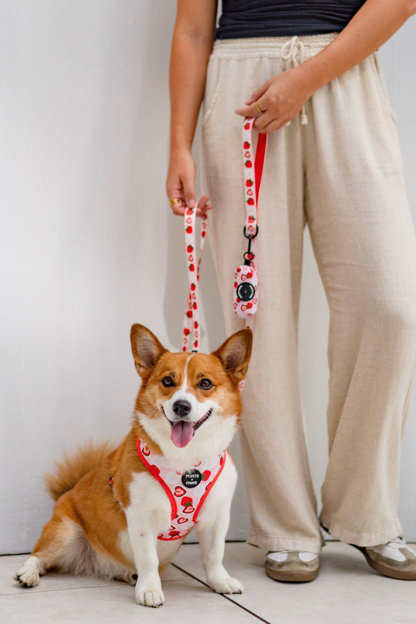 LEASH - STRAWBERRY MOCHI