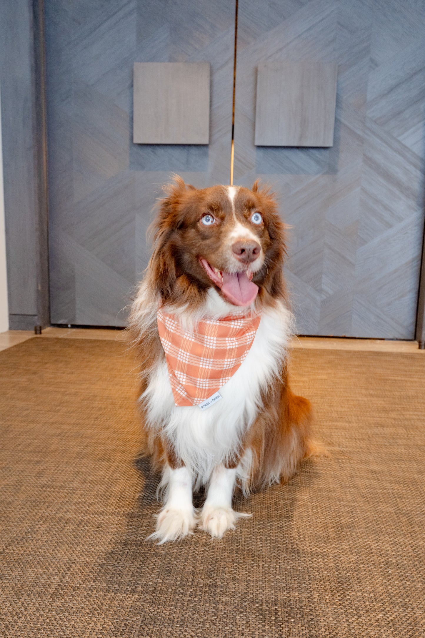 QUICK DRY BANDANA - PALAKA PUMPKIN SPICE