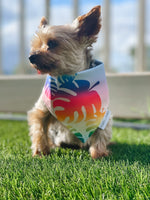 QUICK DRY BANDANA - RAINBOW MONSTERA