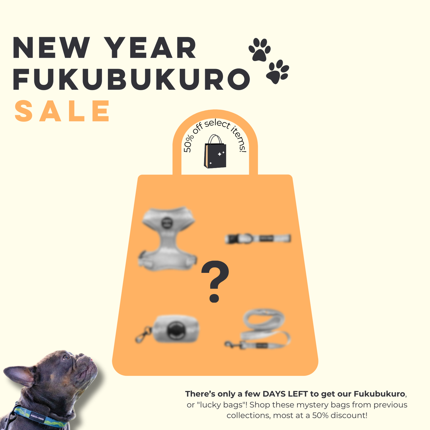 FUKUBUKURO BAG