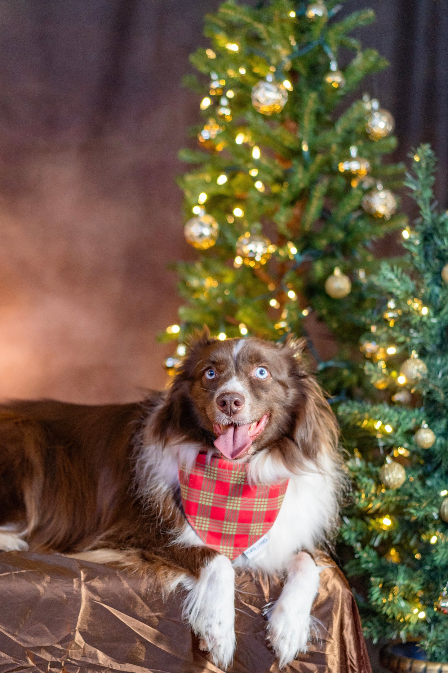 QUICK DRY BANDANA - PALAKA CHRISTMAS