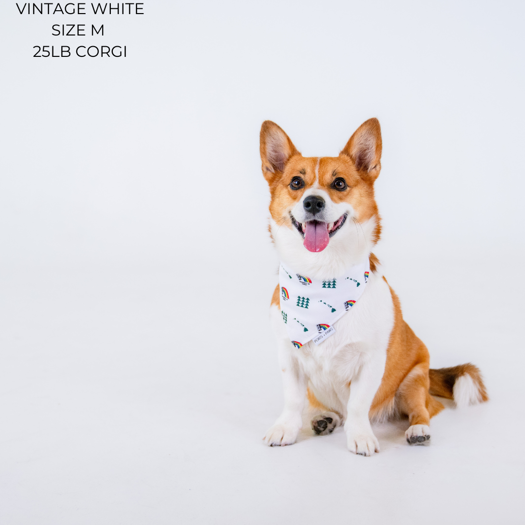 QUICK DRY BANDANA - UH VINTAGE WHITE