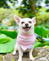 QUICK DRY BANDANA - PLUMERIA LEI