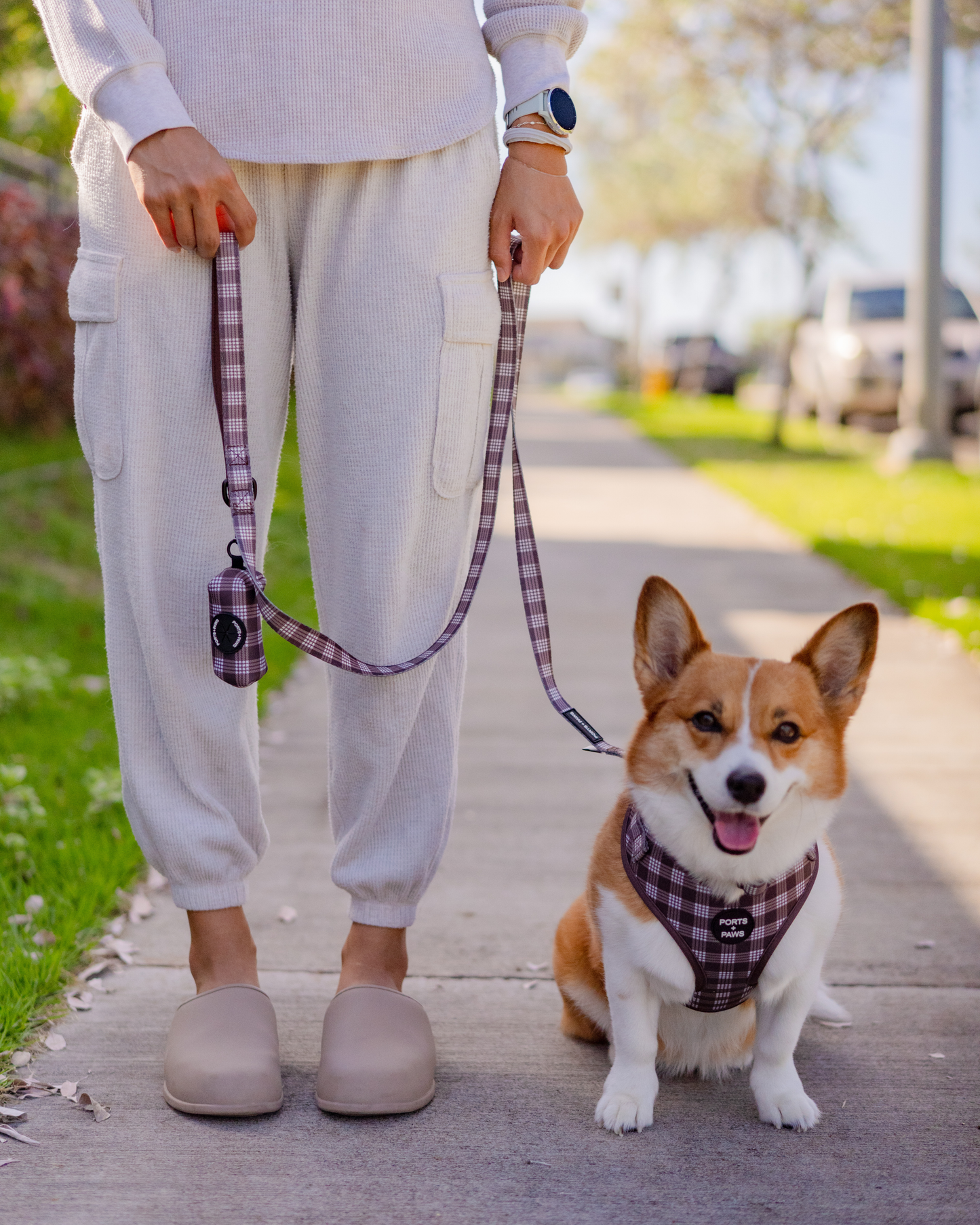 ADJUSTABLE HARNESS - PALAKA BROWN