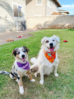 QUICK DRY BANDANA - ORCHID LEI