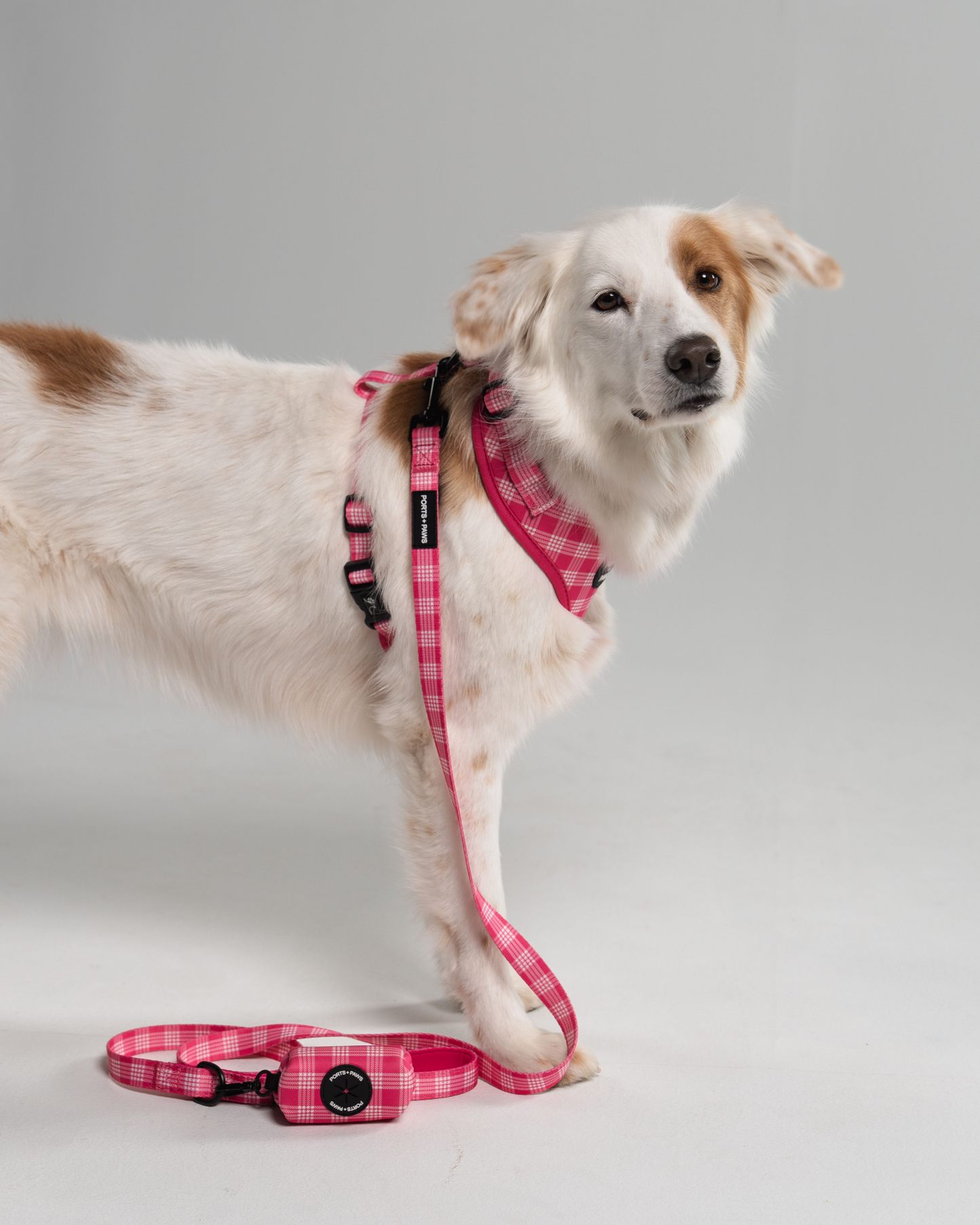 ADJUSTABLE HARNESS - PALAKA PINK