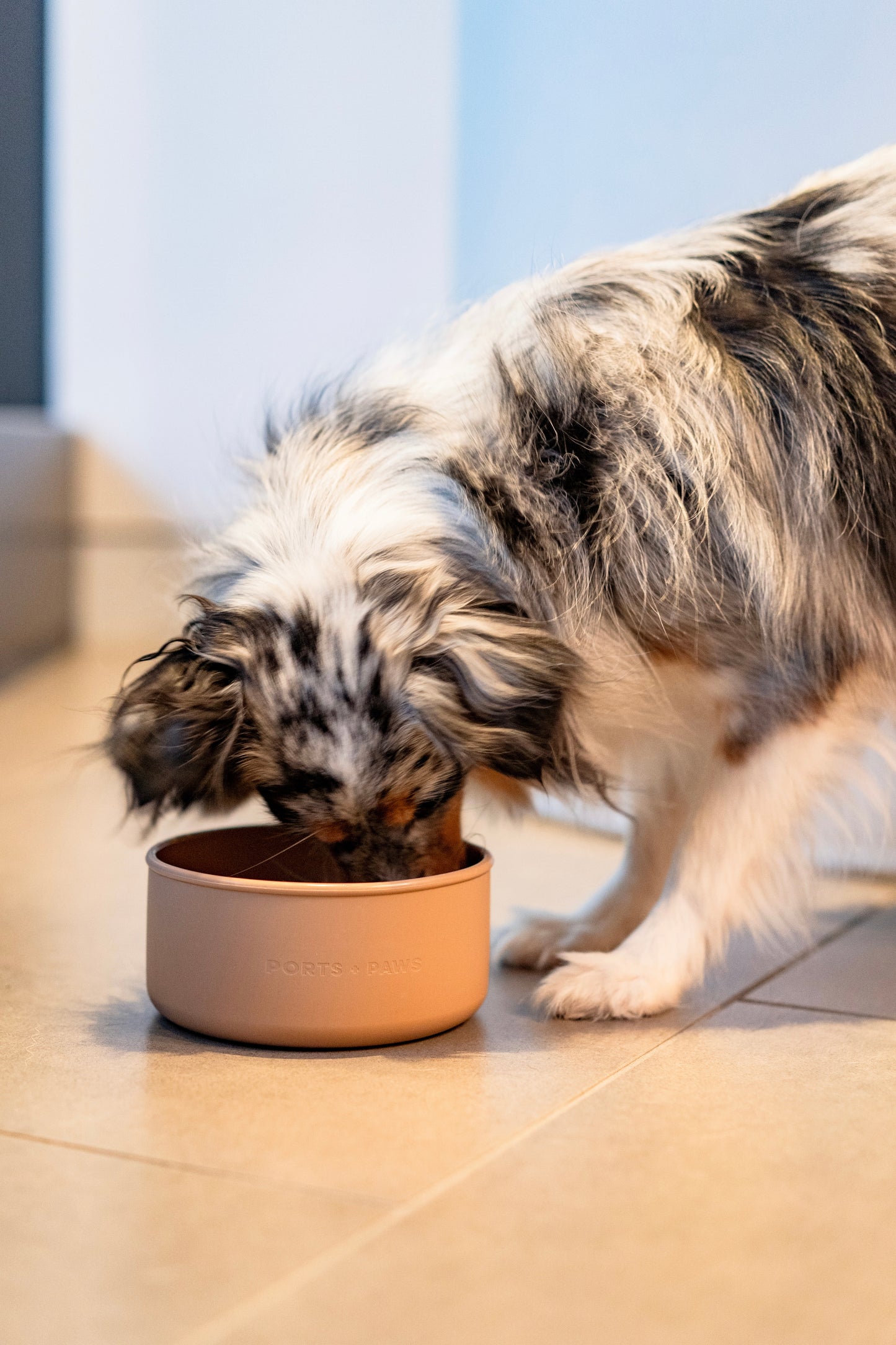 DOG BOWL - SAND