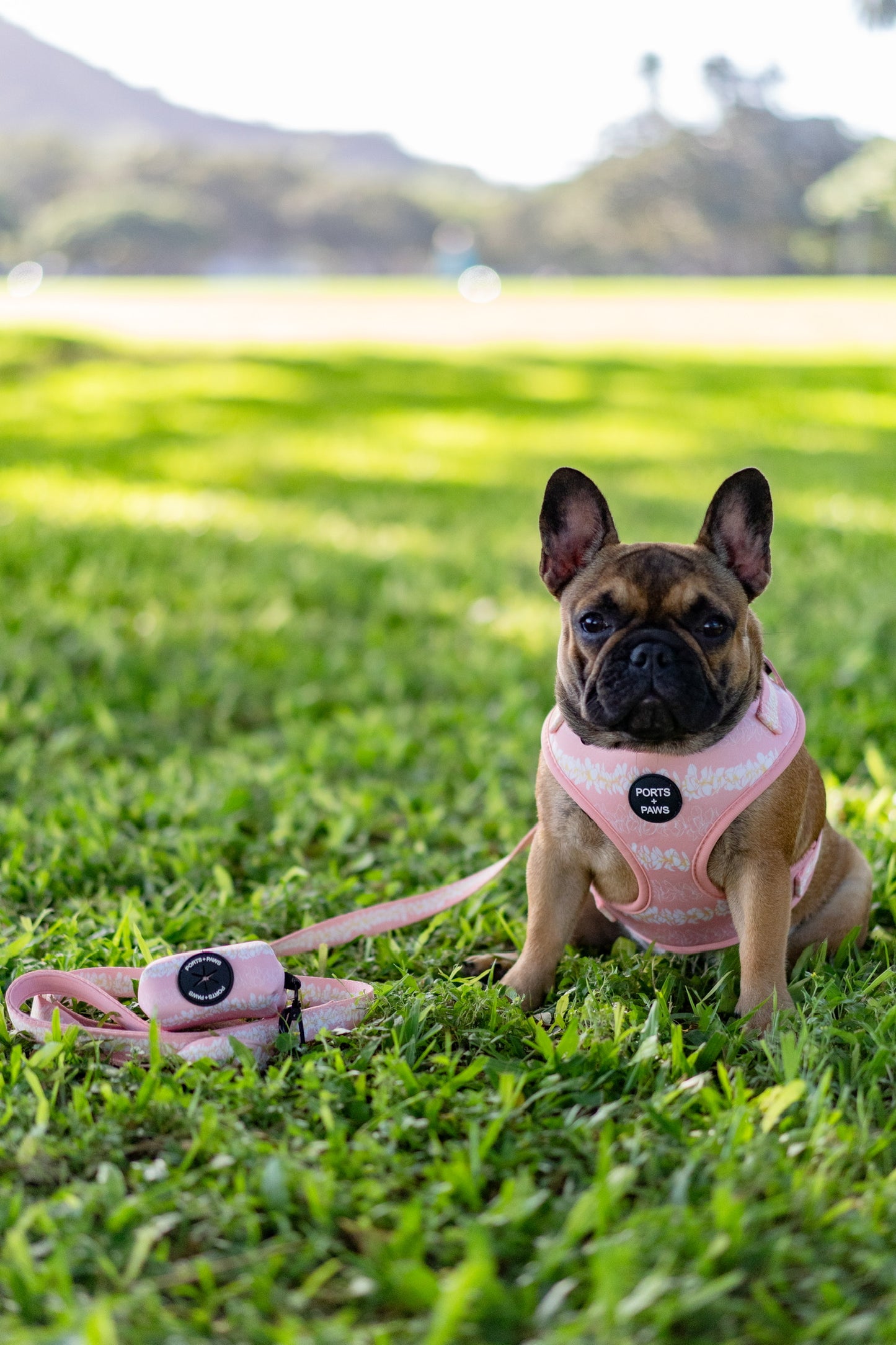 POOP BAG HOLDER - PLUMERIA