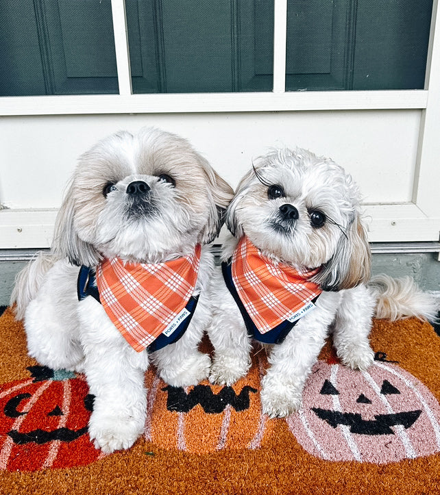 QUICK DRY BANDANA - PALAKA PUMPKIN SPICE