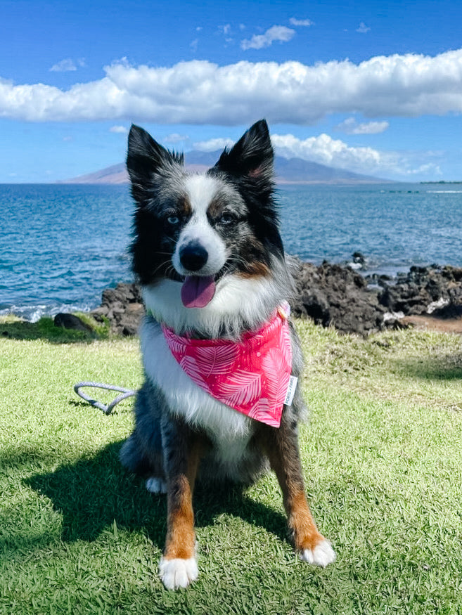 QUICK DRY BANDANA - PALM PINK