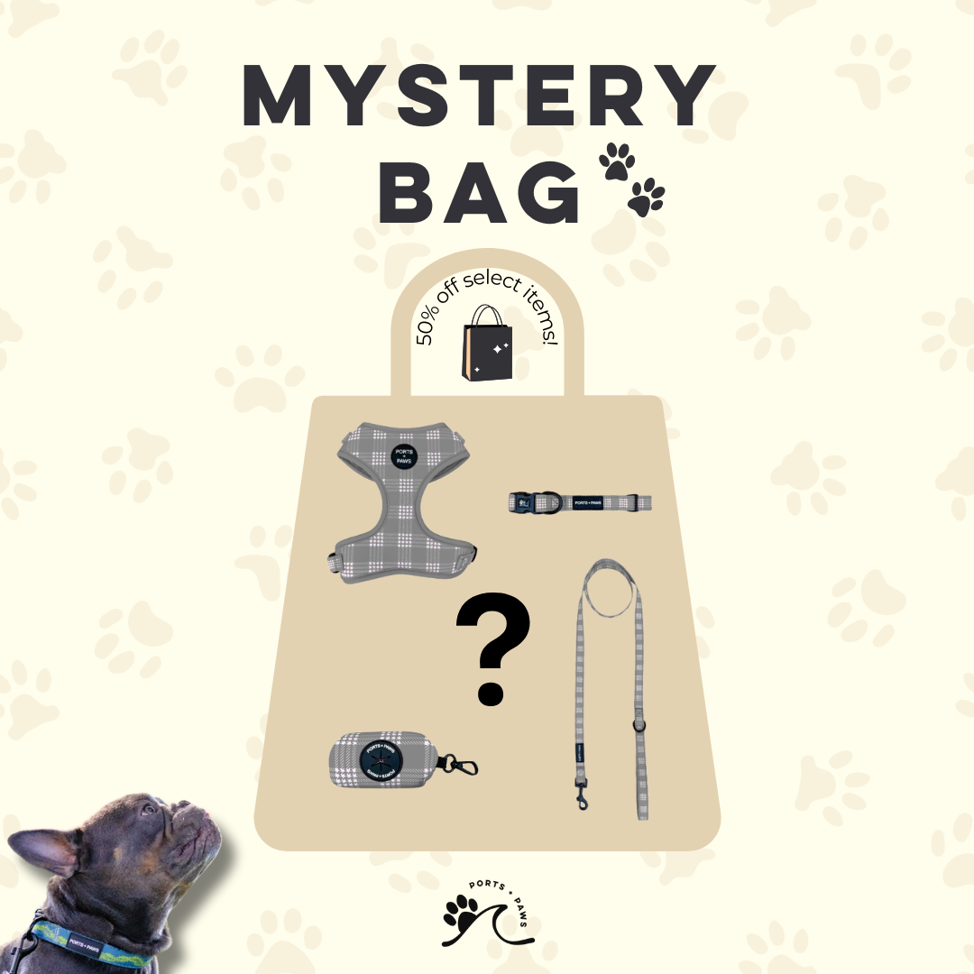MYSTERY BAG