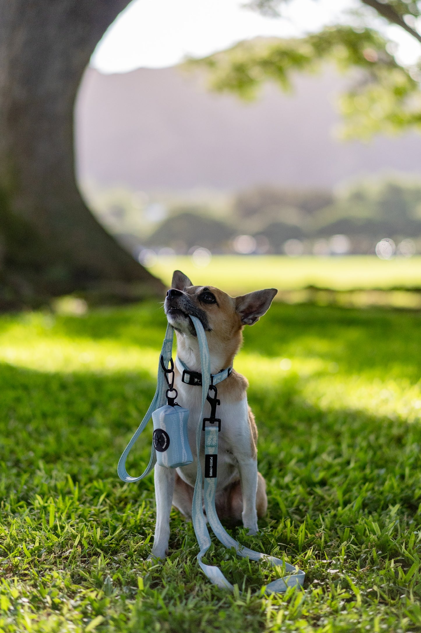 COLLAR - PIKAKE