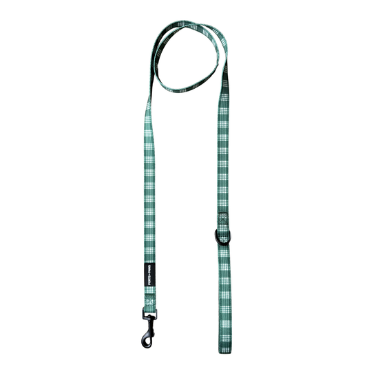 LEASH - PALAKA GREEN