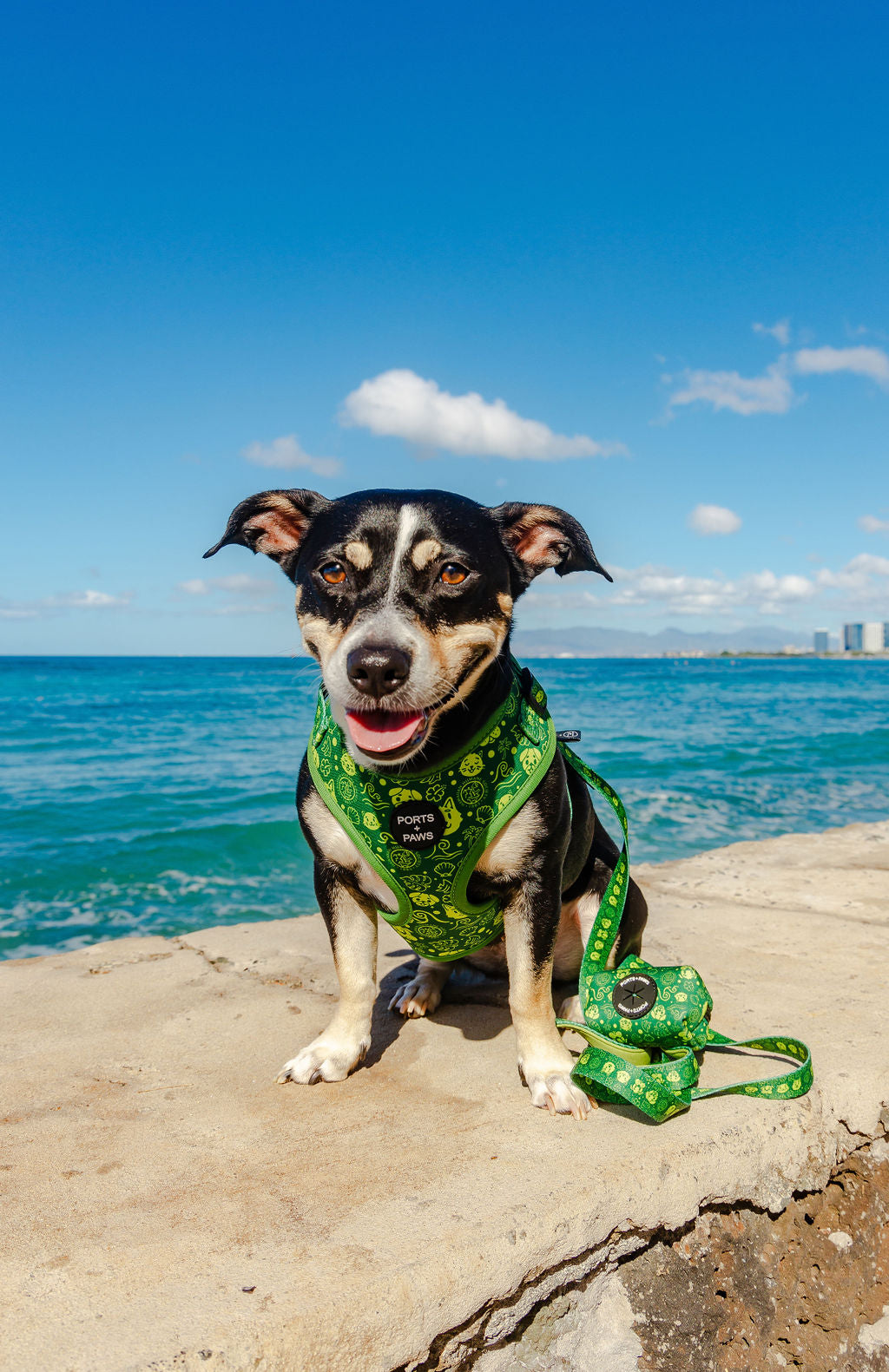 ADJUSTABLE HARNESS - HAWAIIAN HUMANE SOCIETY