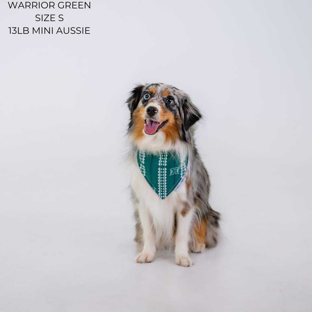 QUICK DRY BANDANA - UH WARRIOR GREEN