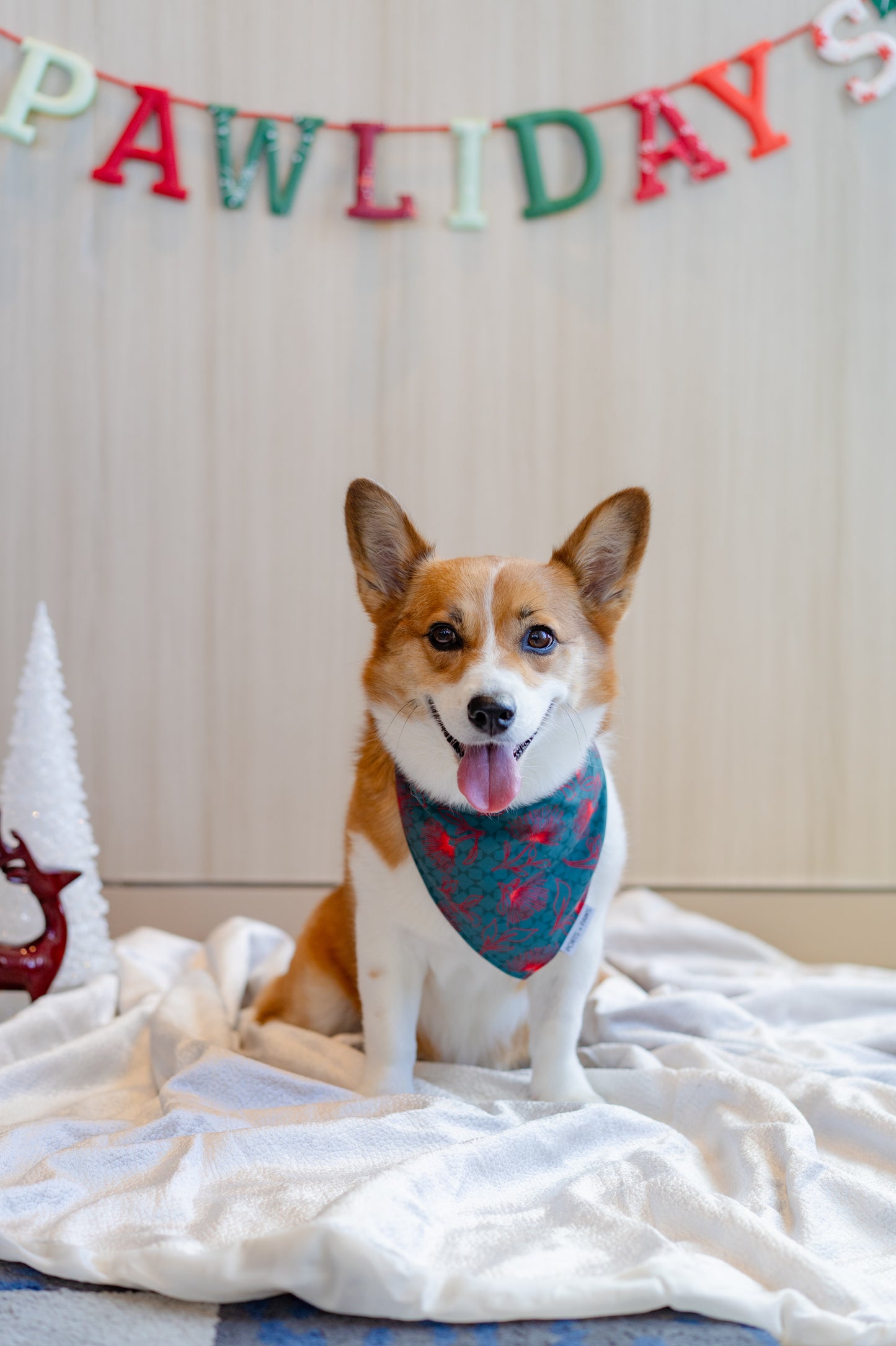 QUICK DRY BANDANA - HOLIDAY OHIA