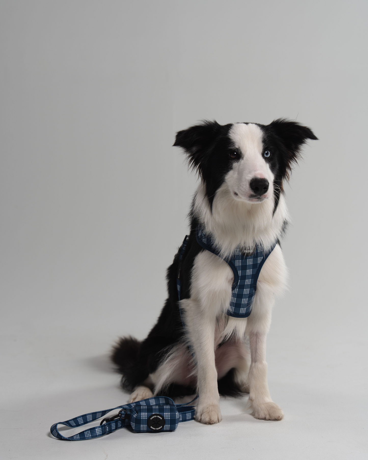 ADJUSTABLE HARNESS - PALAKA BLUE
