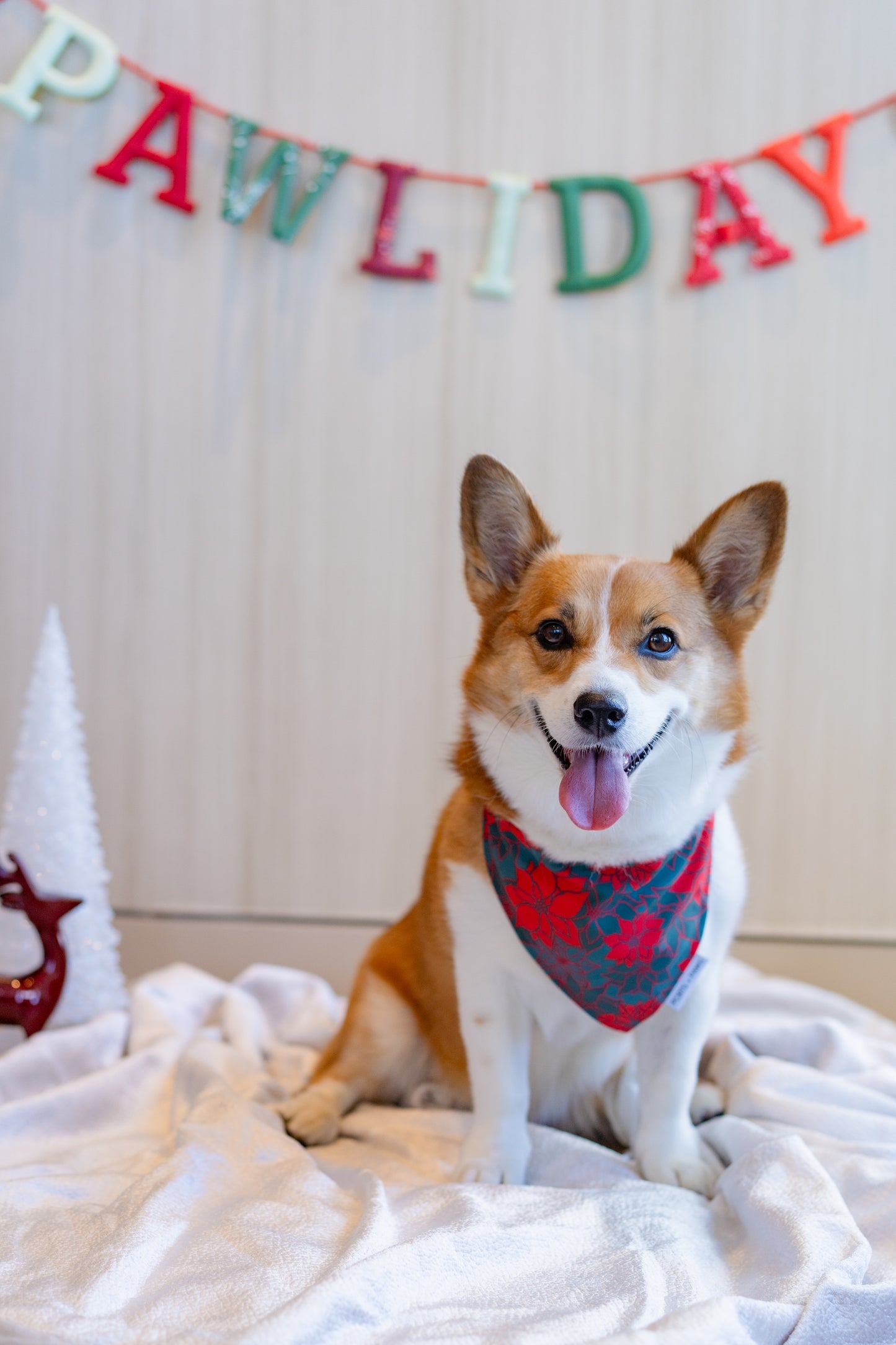 QUICK DRY BANDANA - POINSETTIA