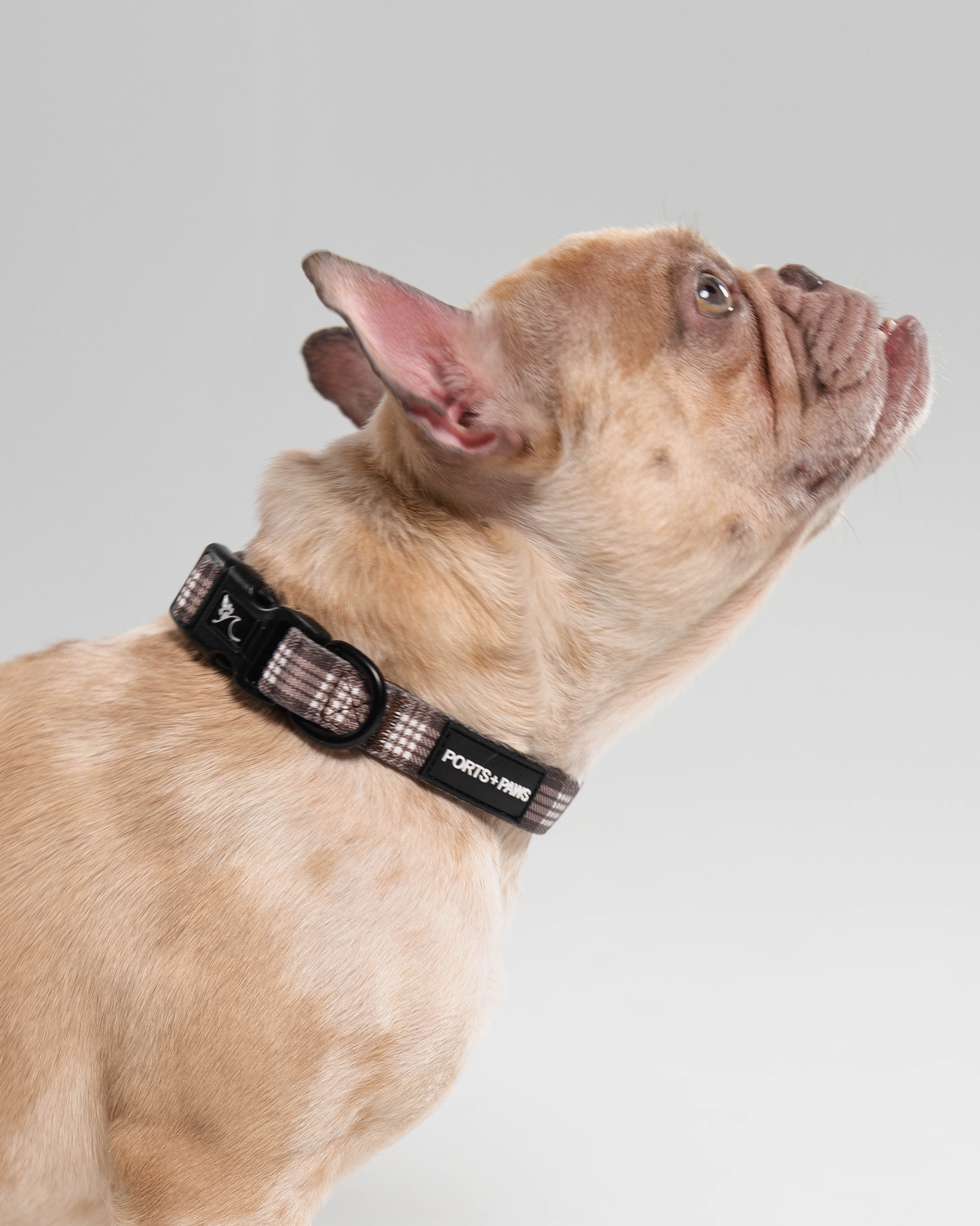 COLLAR - PALAKA BROWN