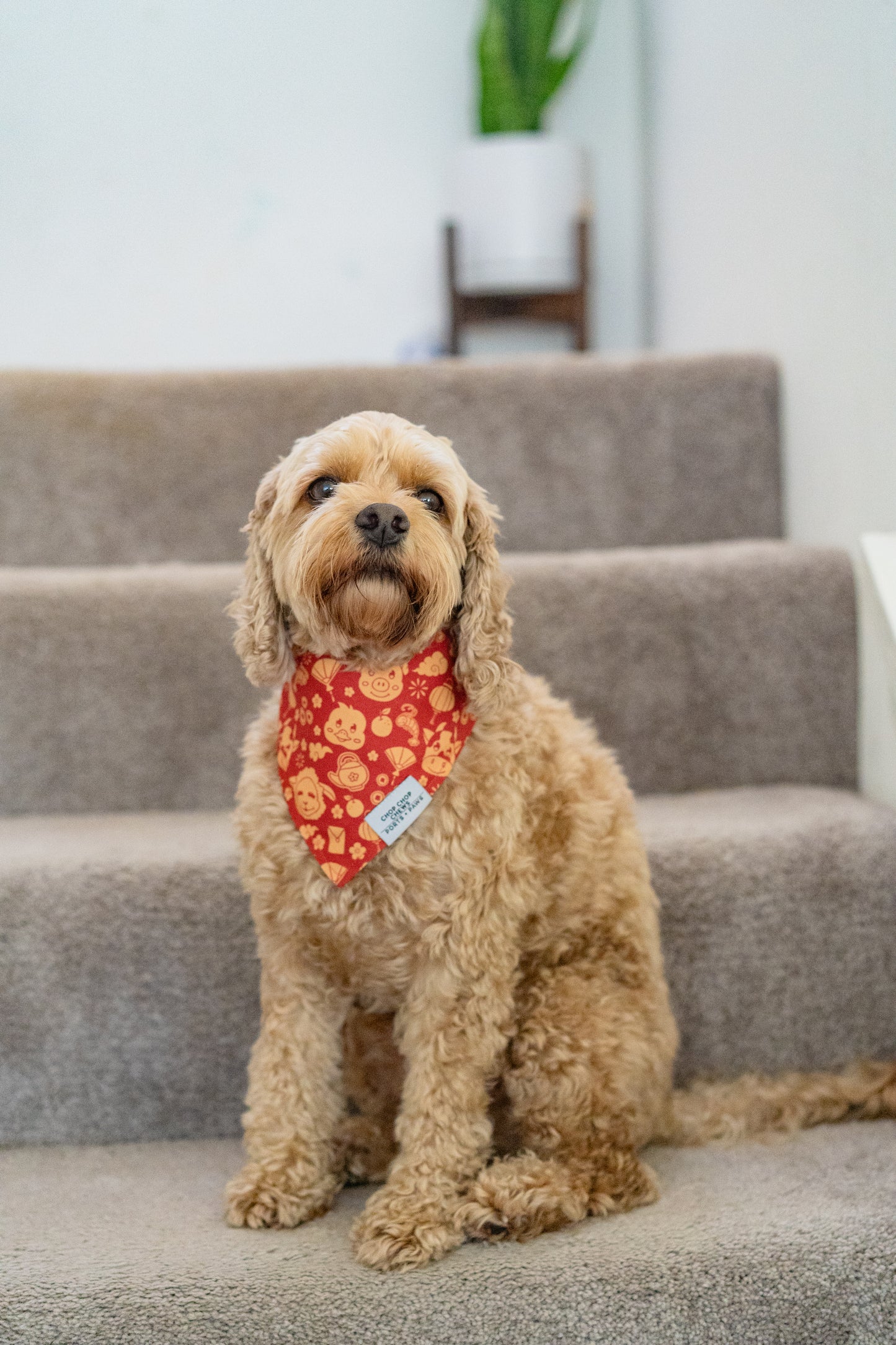 QUICK DRY BANDANA - CHOP CHOP CHEWS LUNAR NEW YEAR