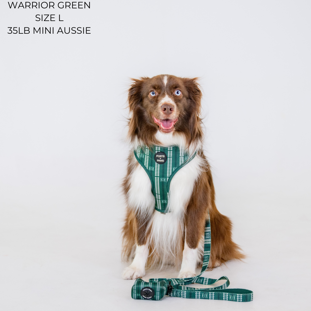 ADJUSTABLE HARNESS - UH WARRIOR GREEN