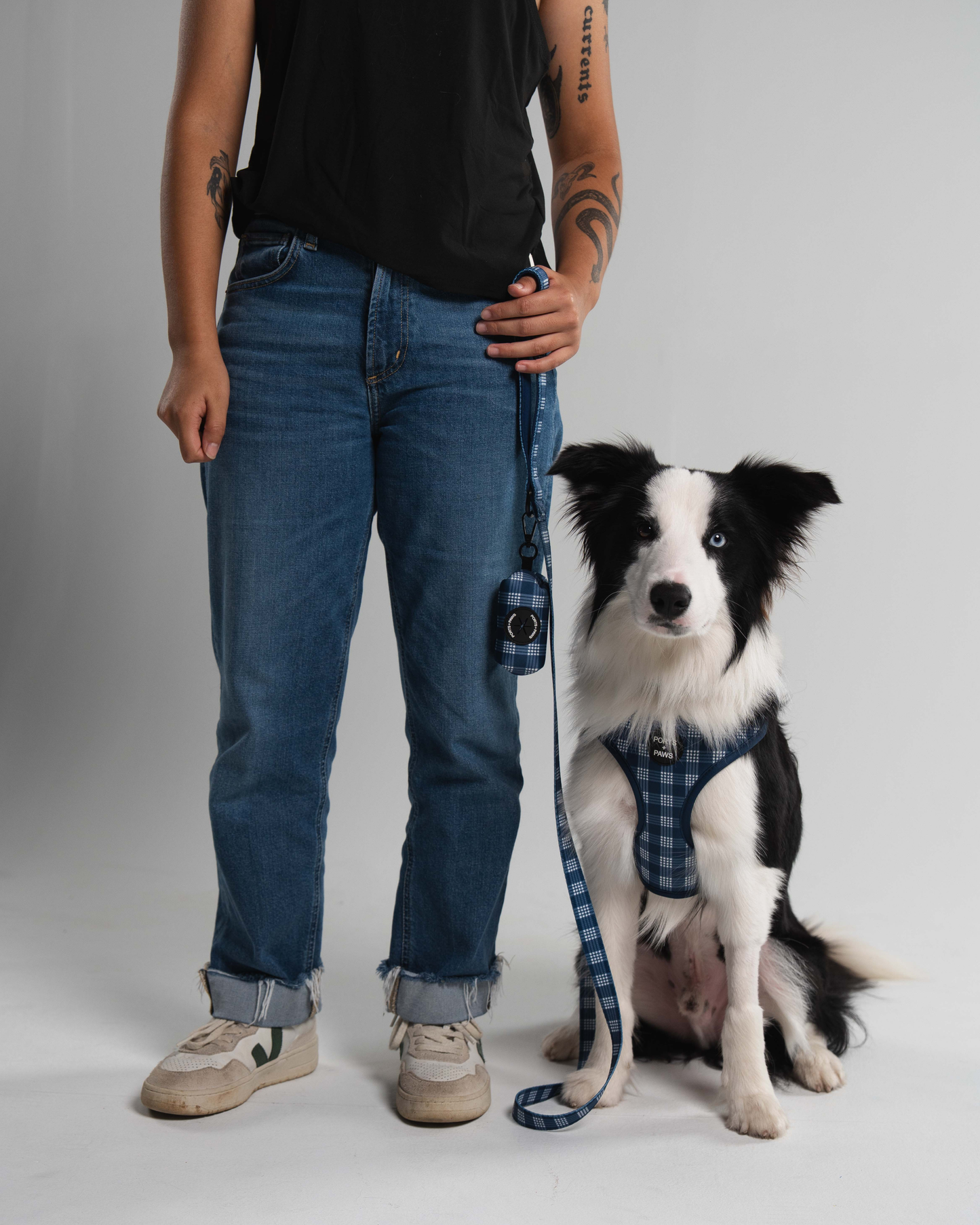 ADJUSTABLE HARNESS - PALAKA BLUE