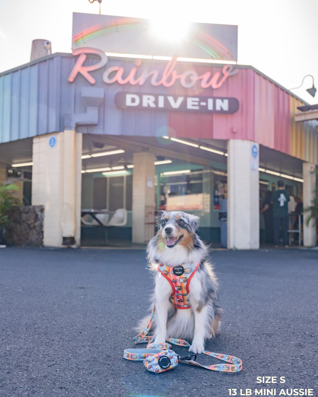 ADJUSTABLE HARNESS - RAINBOW DRIVE-IN