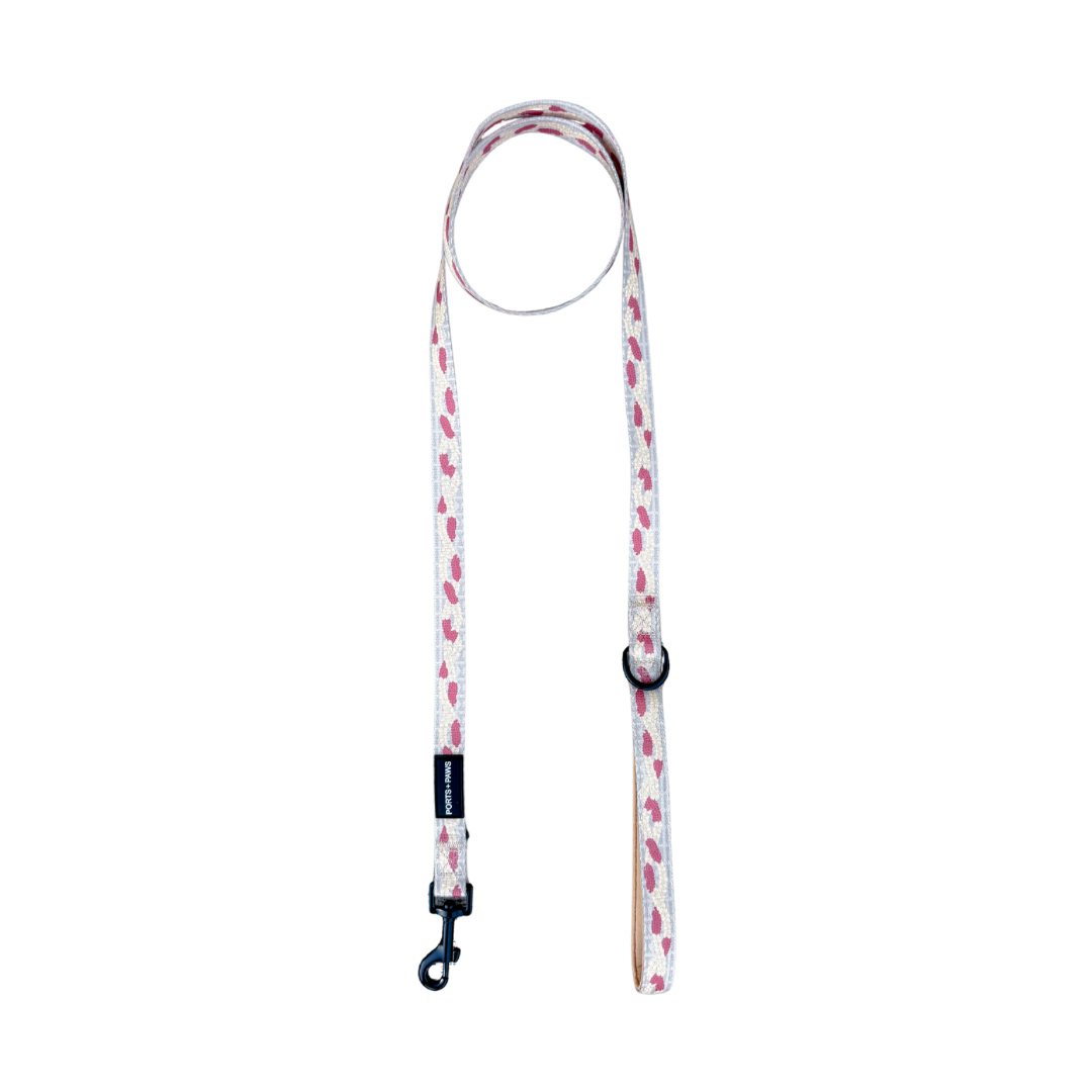 LEASH - NIʻIHAU PŪPŪ SHELL