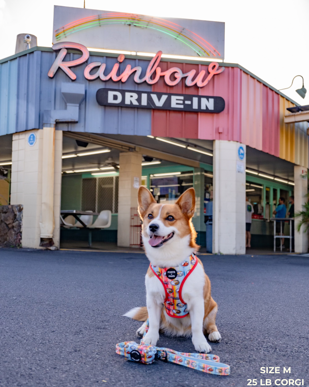 ADJUSTABLE HARNESS - RAINBOW DRIVE-IN