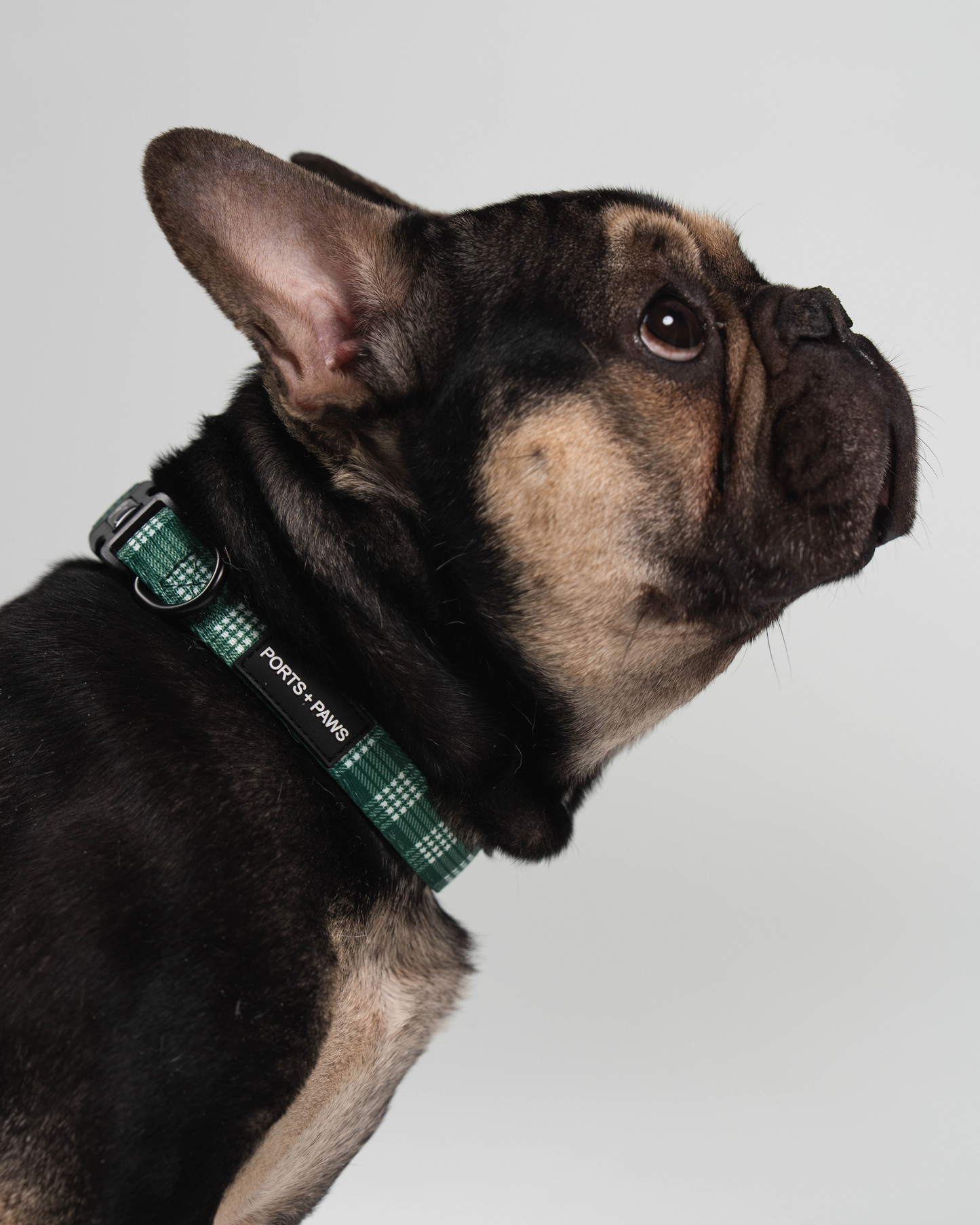 COLLAR - PALAKA GREEN