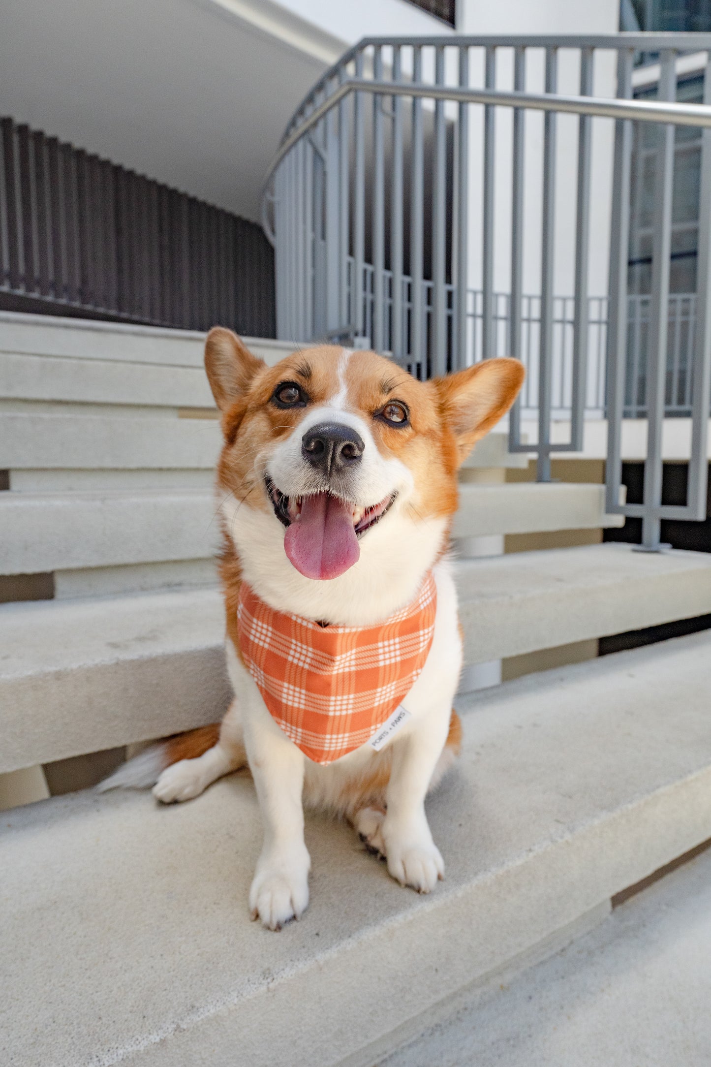 QUICK DRY BANDANA - PALAKA PUMPKIN SPICE