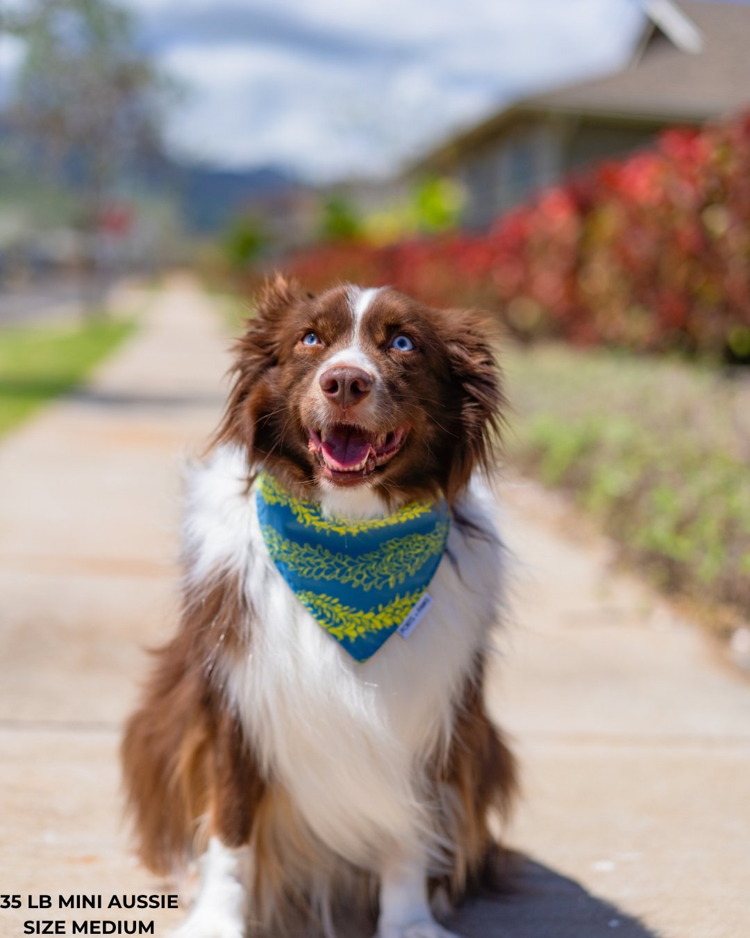 QUICK DRY BANDANA - PAKALANA LEI