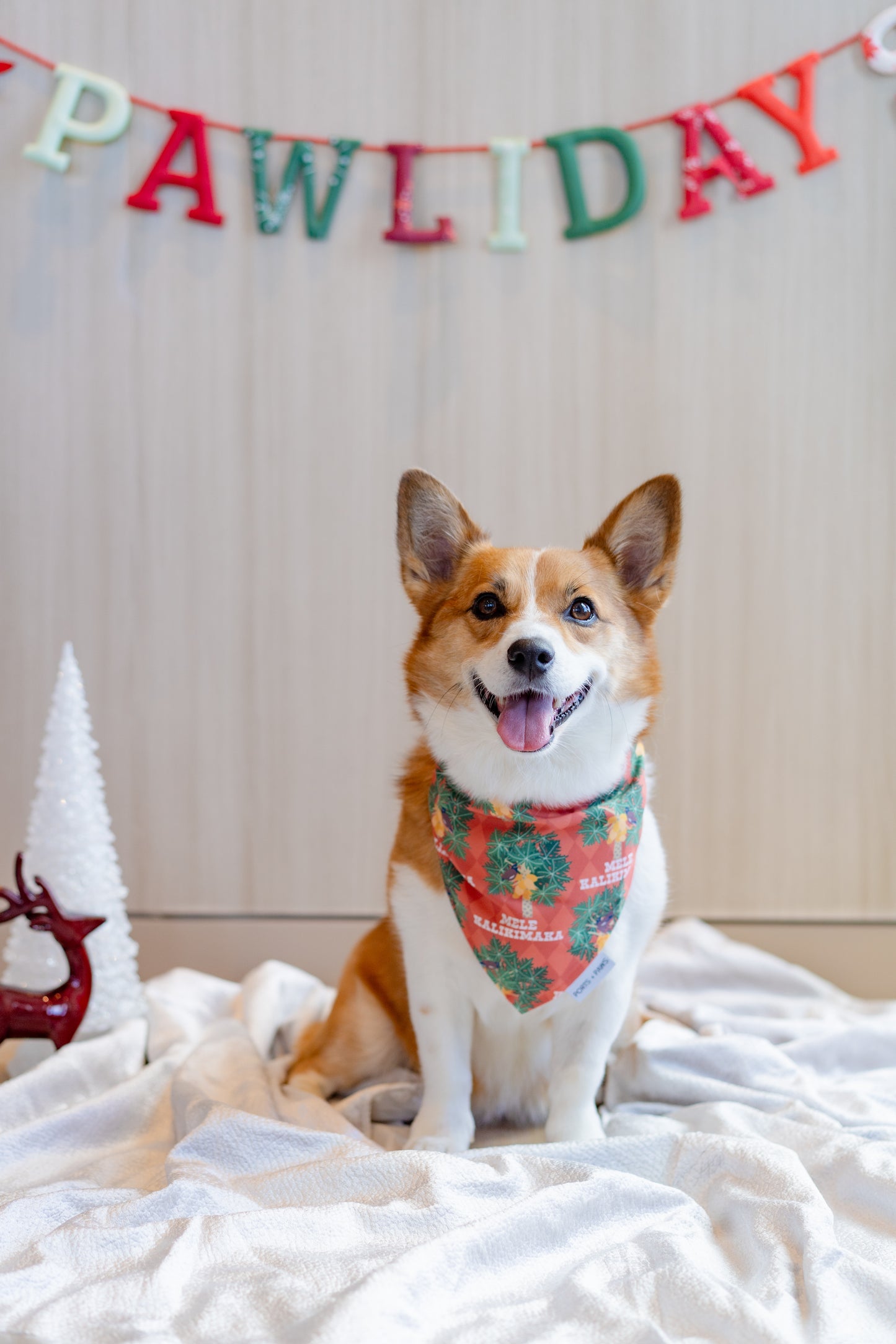 QUICK DRY BANDANA - MYNAH BIRD