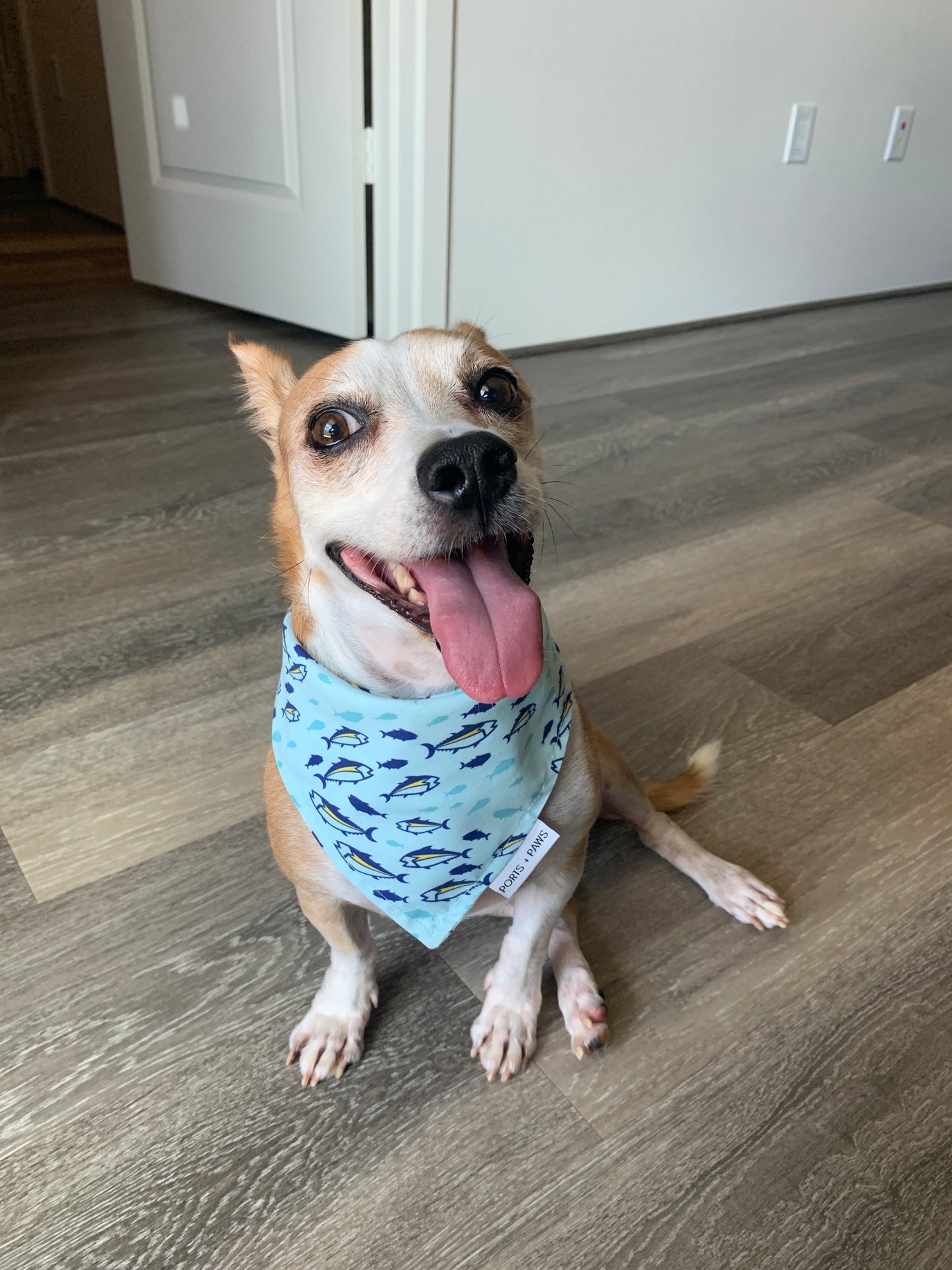 QUICK DRY BANDANA - AHI