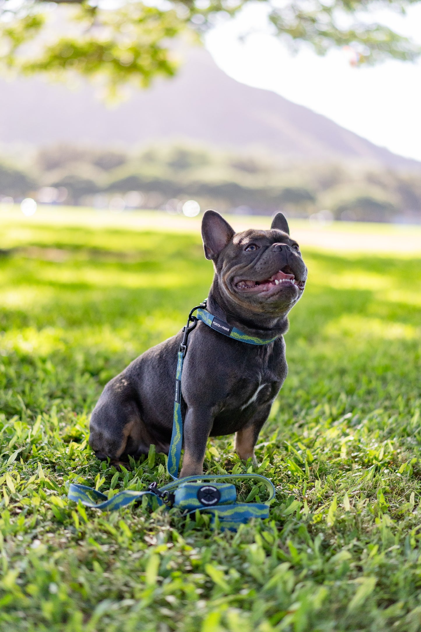 POOP BAG HOLDER - PAKALANA