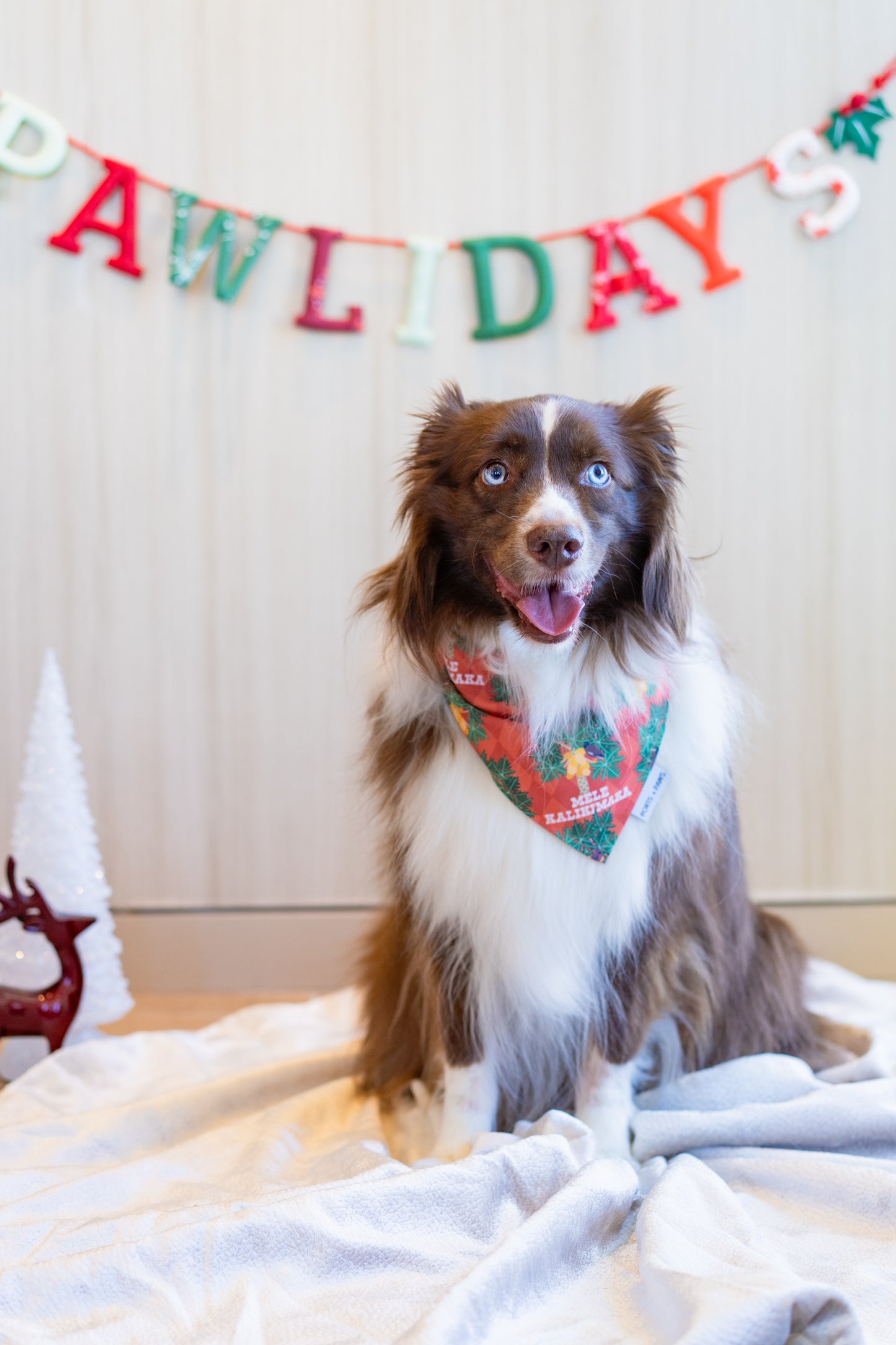 QUICK DRY BANDANA - MYNAH BIRD