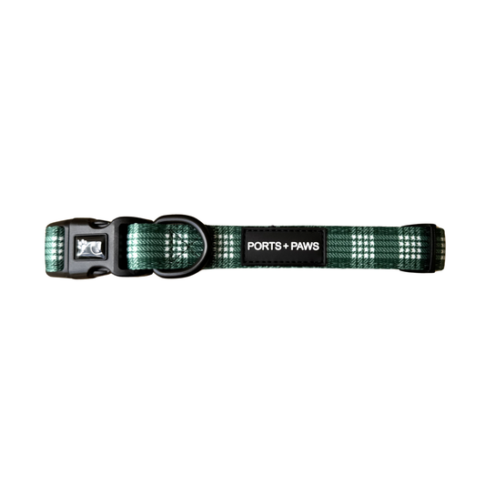 COLLAR - PALAKA GREEN
