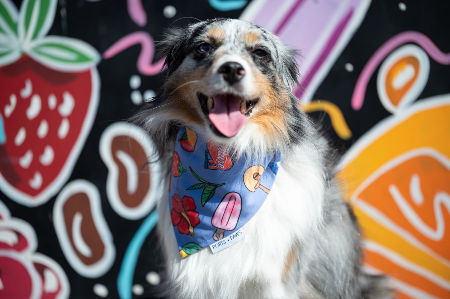 QUICK DRY BANDANA - POP CULTURE