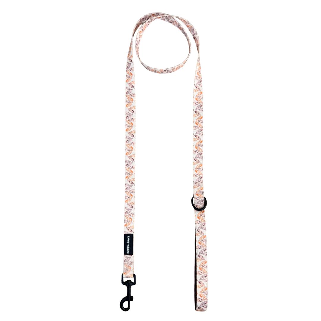 LEASH - MITER SHELL