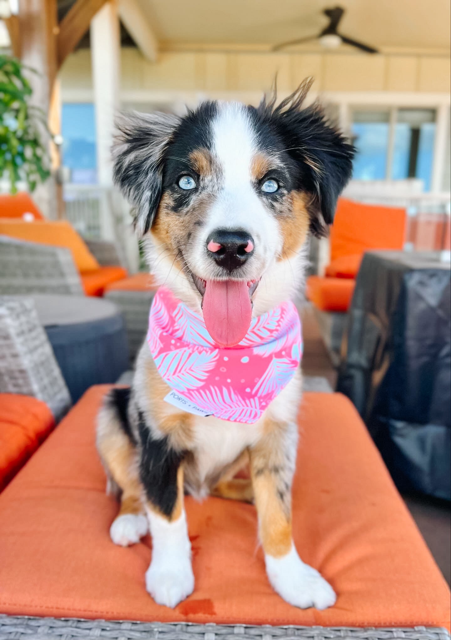 QUICK DRY BANDANA - PALM PINK/BLUE