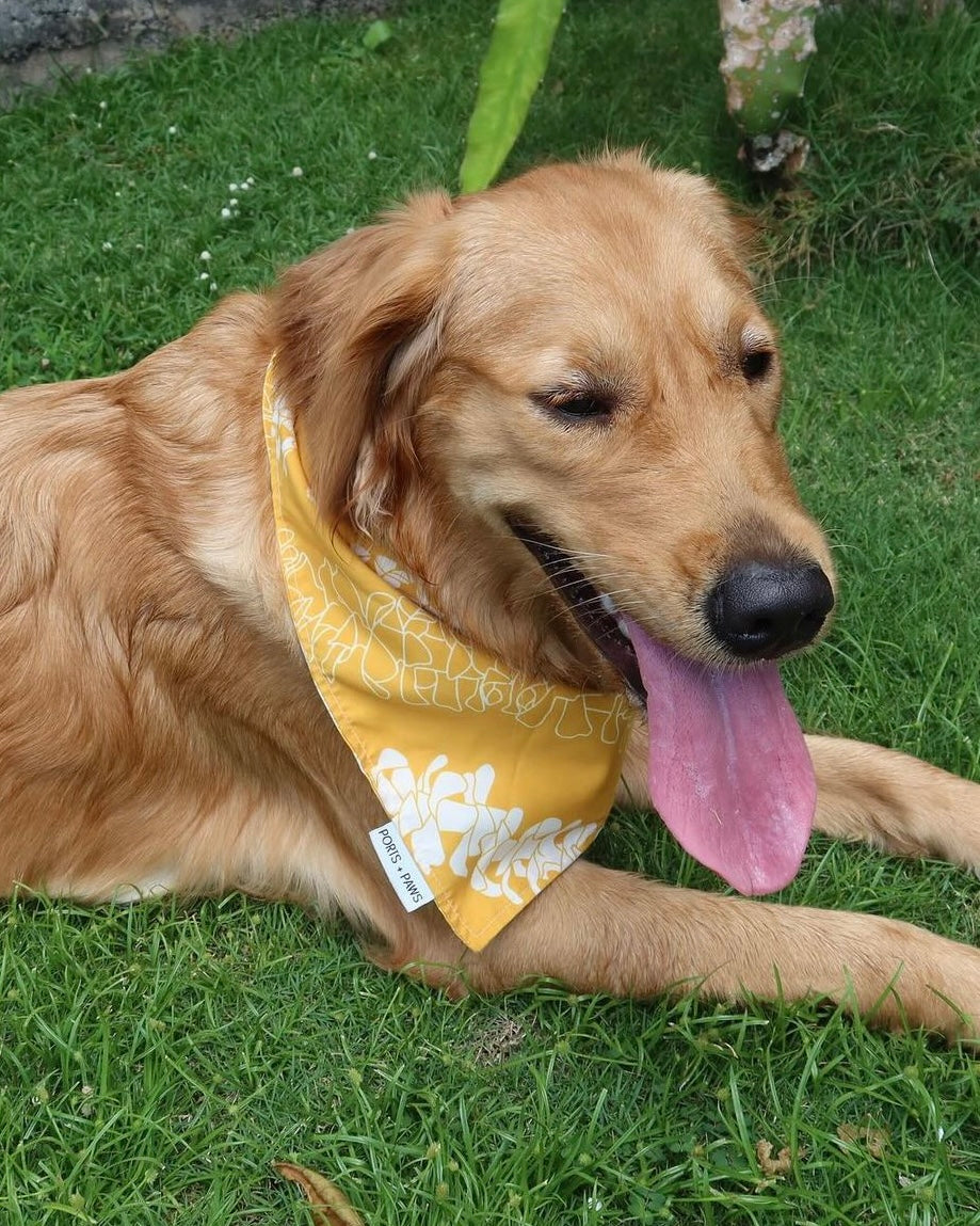 QUICK DRY BANDANA - PUAKENIKENI