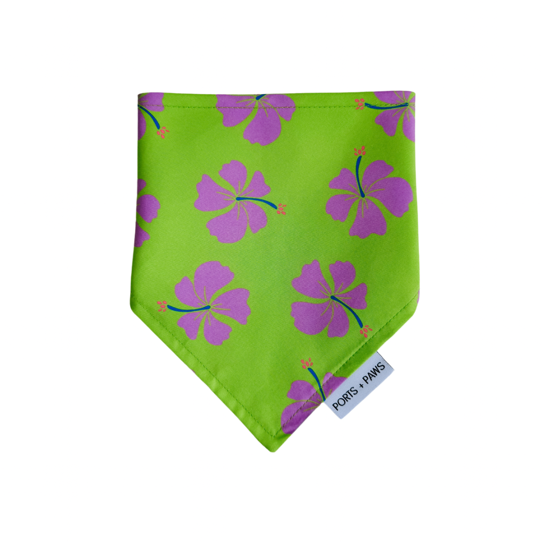 QUICK DRY BANDANA - HIBISCUS LIME BARKARITA