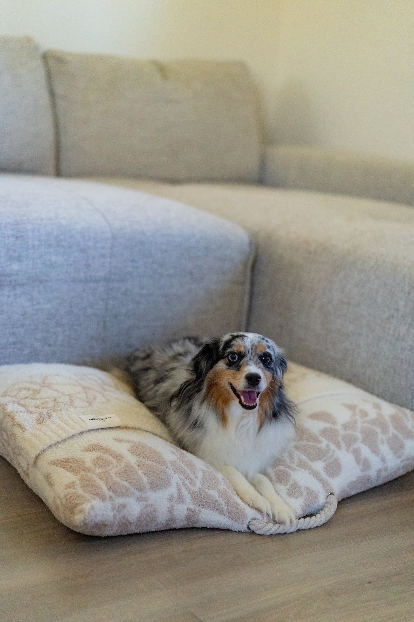 COZY DOG BED - PUAKENIKENI